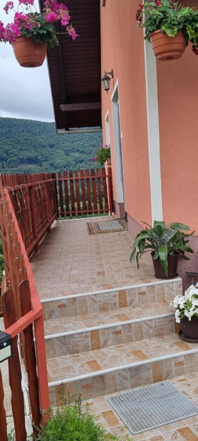 Apartment Kod Slaveka Kostanjevac